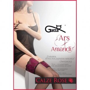 Gatta Ars Amandi Calze Rose